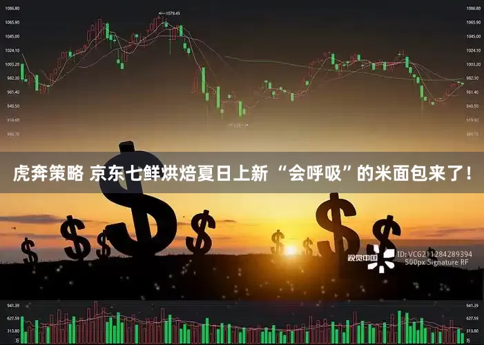 虎奔策略 京东七鲜烘焙夏日上新 “会呼吸”的米面包来了！