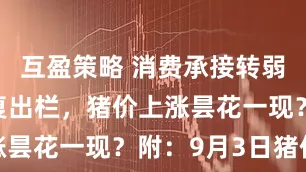 互盈策略 消费承接转弱，集团恢复出栏，猪价上涨昙花一现？附：9月3日猪价