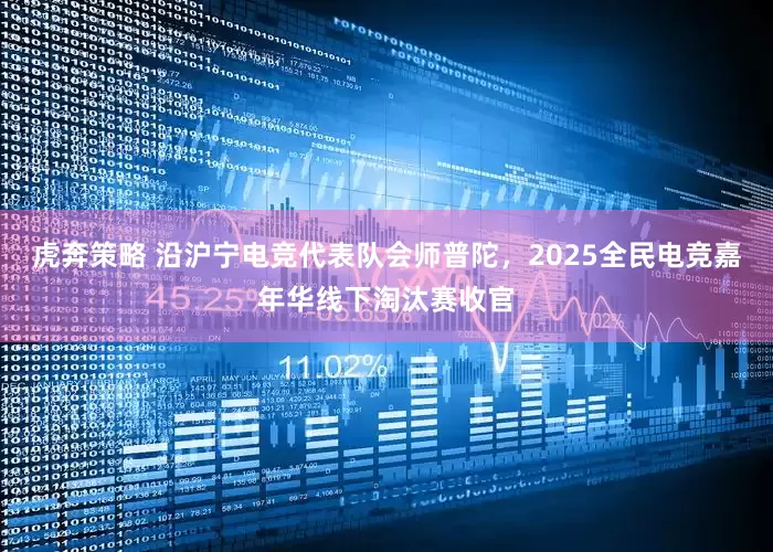 虎奔策略 沿沪宁电竞代表队会师普陀，2025全民电竞嘉年华线下淘汰赛收官